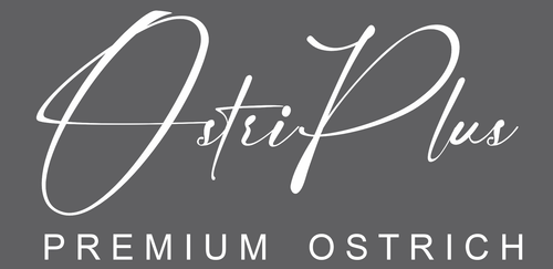 OstriPlus