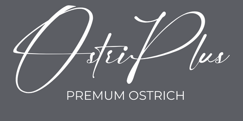 OstriPlus